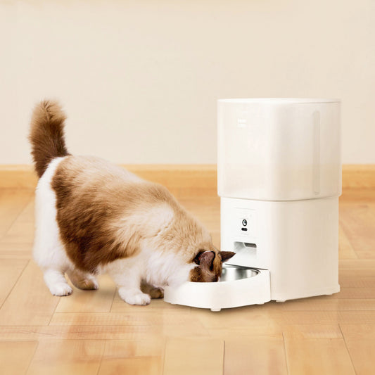 iPet 寵物自動餵食器  Wi-Fi Plus